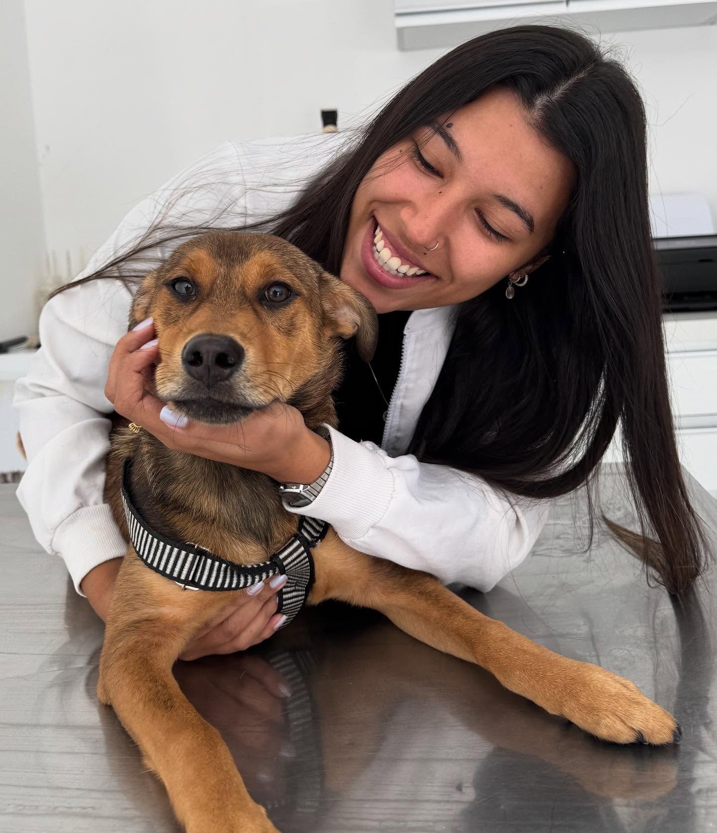 Dra. Pollyana Pimenta com pets atendidos em casa