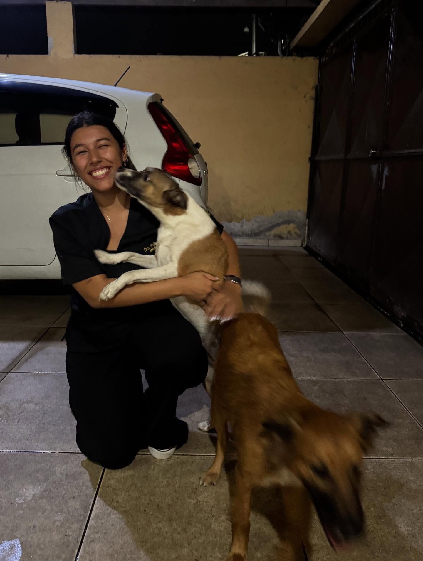 Telemedicina Veterinária